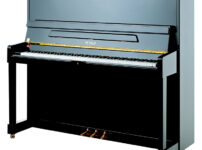 ペトロフ  ピアノ Petrof P125 Upright Piano