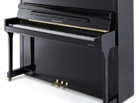 Ronisch  ピアノ Ronisch 118K Upright Piano
