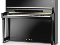 フリドリン・シンメル  ピアノ Fridolin Schimmel F121 Upright Piano