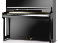 フリードリン・シマル  ピアノ Fridolin Schimmel F123 Upright Piano