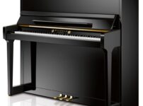 ヴィルヘルム・シメル  ピアノ Wilhelm Schimmel W123 Upright Piano
