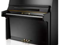 ヴィルヘルム・シンメル  ピアノ Wilhelm Schimmel W114 Upright Piano