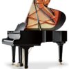 ウィルヘルム・シンメル  ピアノ Wilhelm Schimmel W180 Grand Piano