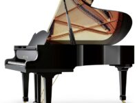ヴィルヘルム・シンメル  ピアノ Wilhelm Schimmel W206 Grand Piano