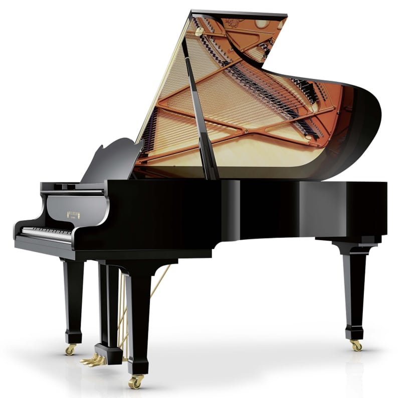 ヴィルヘルム・シンメル  ピアノ Wilhelm Schimmel W206 Grand Piano