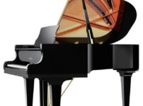 シンメル  ピアノ Schimmel C169 Grand Piano