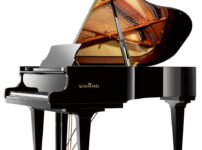 シュミール  ピアノ Schimmel K195 Grand Piano