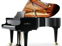 シンメル  ピアノ Schimmel K219 Grand Piano
