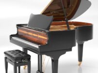 ザイラー  ピアノ Eduard Seiler ED168 Grand Piano