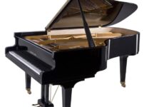 Steingraeber & Sohne  ピアノ Steingraeber C212 Grand Piano