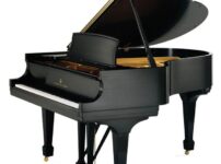 スタインウェイ＆サンズ  ピアノ Steinway B Grand Piano