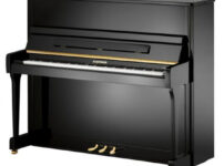 W. Hoffmann  ピアノ W. Hoffmann V120 Upright Piano