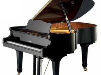 W. Hoffmann  ピアノ W. Hoffmann V175 Grand Piano