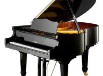 W. Hoffmann  ピアノ W. Hoffmann V158 Grand Piano