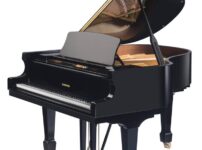 W. ホフマン  ピアノ W. Hoffmann T161 Grand Piano