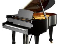 W. Hoffmann  ピアノ W. Hoffmann T177 Grand Piano