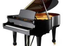 W. Hoffmann  ピアノ W. Hoffmann T186 Grand Piano