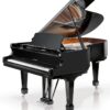 W. Hoffmann  ピアノ W. Hoffmann P162 Grand Piano