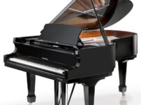 W. Hoffmann  ピアノ W. Hoffmann P162 Grand Piano