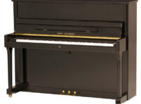 ウィルヘルム・スタインバーグ  ピアノ Wilh. Steinberg P118 Upright Piano