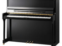 ウィルヘルム・スタインバーグ  ピアノ Wilh. Steinberg S125 Upright Piano