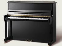 ヴィルヘルム・スタインベルク  ピアノ Wilh. Steinberg S117 Upright Piano