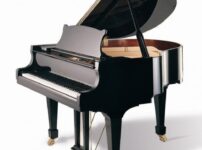 Wilh. Steinberg  ピアノ Wilh. Steinberg P152 Grand Piano