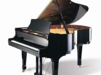 ヴィルヘルム・スタインベルク  ピアノ Wilh. Steinberg P165 Grand Piano