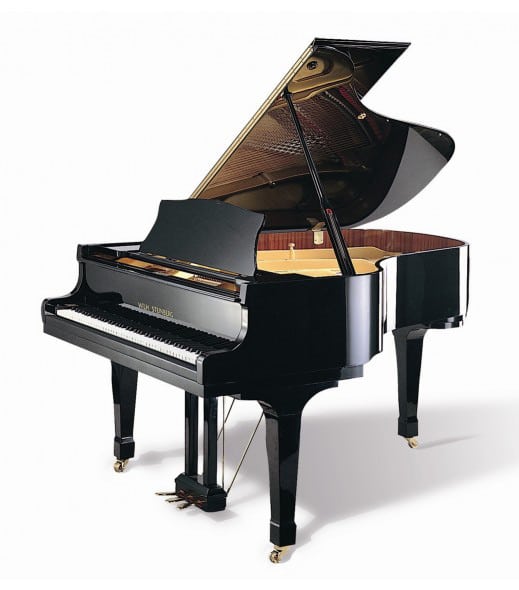 ヴィルヘルム・スタインベルク  ピアノ Wilh. Steinberg P165 Grand Piano