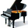 Wilh. Steinberg  ピアノ Wilh. Steinberg S188 Grand Piano
