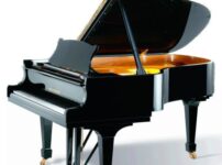 Wilh. Steinberg  ピアノ Wilh. Steinberg S188 Grand Piano