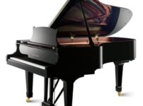 Wilh. Steinberg  ピアノ Wilh. Steinberg S212 Grand Piano