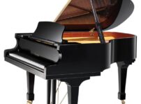 ツィマーマン  ピアノ Zimmermann Z185 Grand Piano